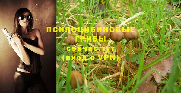 шишки Балабаново