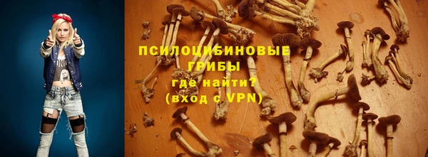 прущая мука Балахна