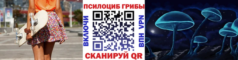 Галлюциногенные грибы MAGIC MUSHROOMS  где можно купить   Биробиджан 
